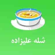 عکس شله علیزاده