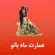 عکس عمارت ماه بانو