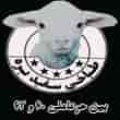 عکس طباخی سفید بره