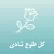 عکس گل آرایی طلوع