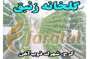 عکس گلخانه زنبق