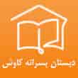 عکس دبستان کاوش