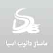 عکس ماساژ دانوب اسپا