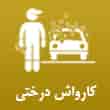 عکس کارواش درختی