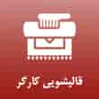 عکس قالیشویی کارگر