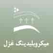 عکس میکروبلیدینگ غزل