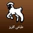 عکس طباخی گلریز