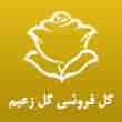 عکس گل زعیم