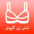عکس فروشگاه گلپوش