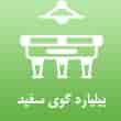 عکس بیلیارد گوی