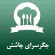 عکس جگر چاشنی