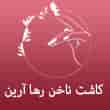 عکس سالن ناخن رها