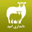 عکس دامداری امید