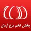 عکس تخم مرغ آرمان