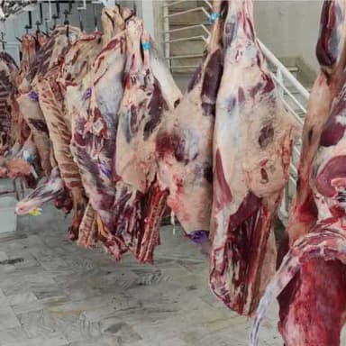 تصویر آگهی شماره 6