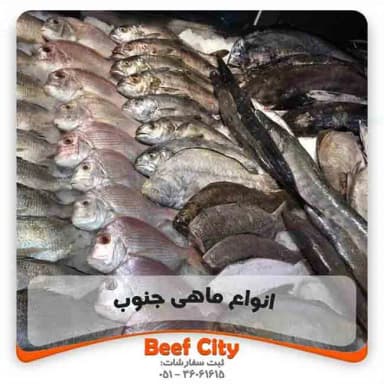 تصویر آگهی شماره 6