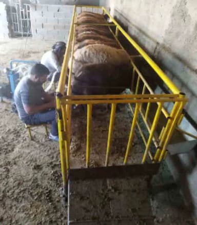 تصویر آگهی شماره 13