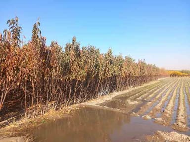 تصویر آگهی شماره 1
