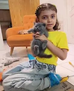 تصویر آگهی شماره 13