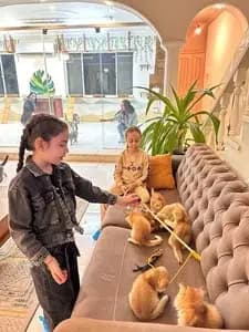 تصویر آگهی شماره 20