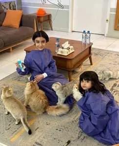 تصویر آگهی شماره 22