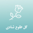 عکس گل آرایی طلوع