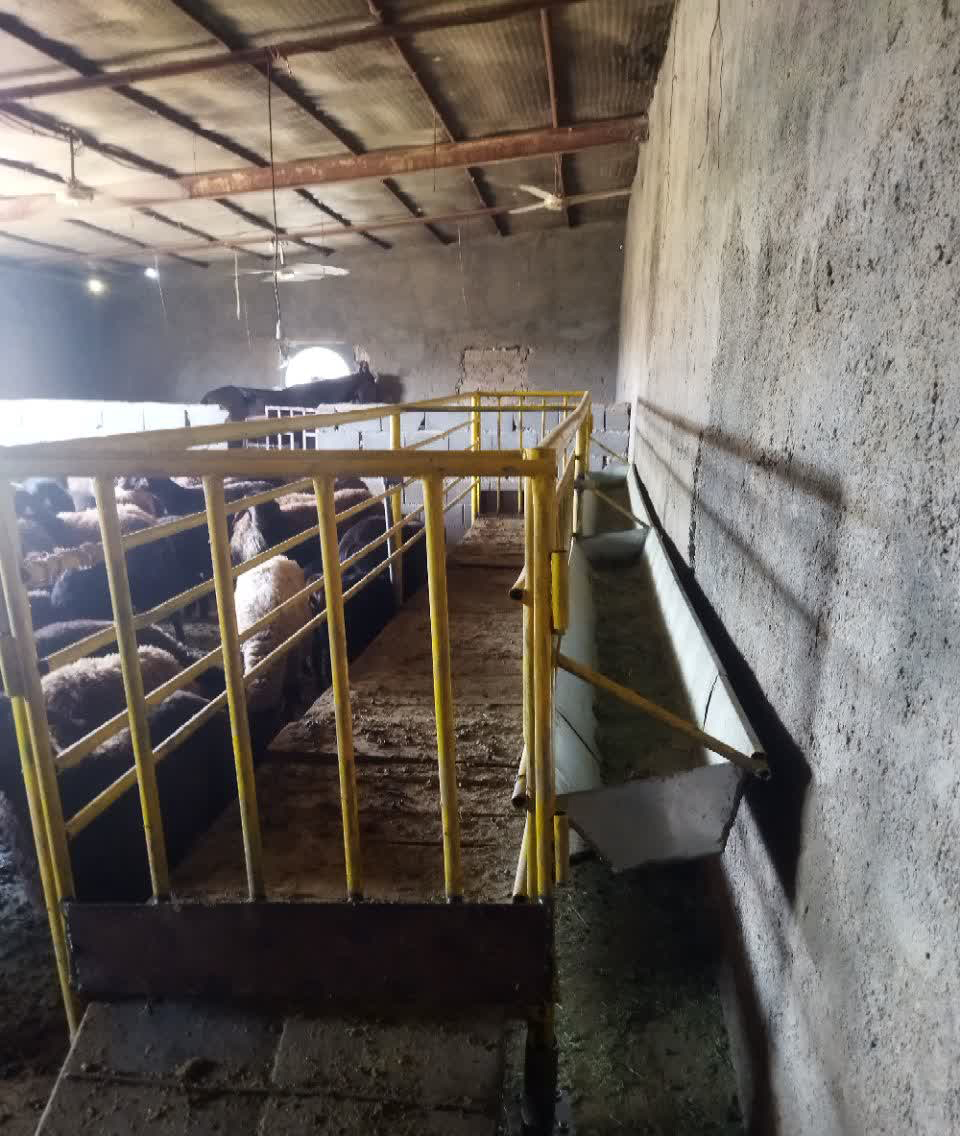 تصویر آگهی شماره 5