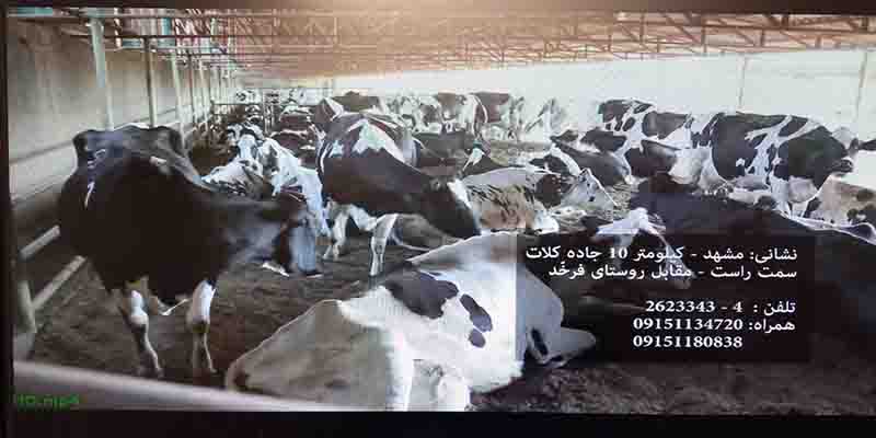 تصویر آگهی شماره 7