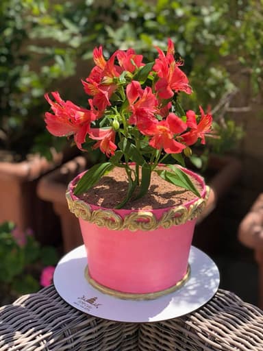 تصویر آگهی شماره 19