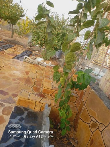 تصویر آگهی شماره 18