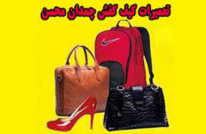 عکس کفش محسن