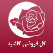 عکس گل گلشید