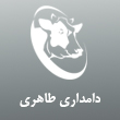 عکس دامداری طاهری