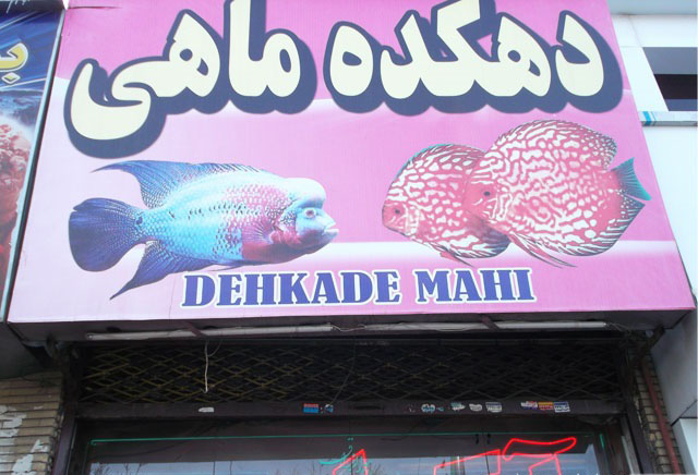 تصویر آگهی شماره 1