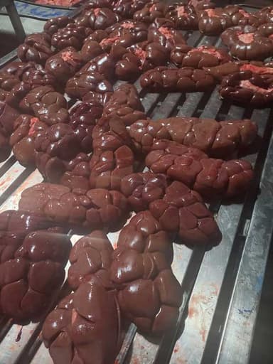 تصویر آگهی شماره 9