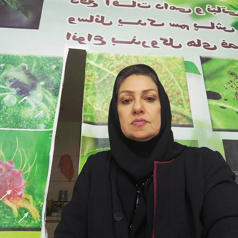 تصویر آگهی شماره 4