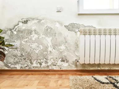 تصویر آگهی شماره 10