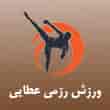 عکس ورزش رزمی عطایی
