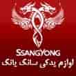 عکس سانگ یانگ یوسفی