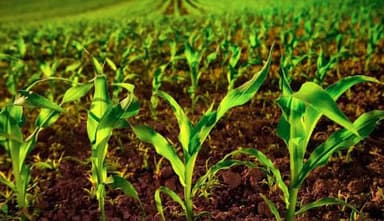 تصویر آگهی شماره 1