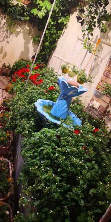 تصویر آگهی شماره 1