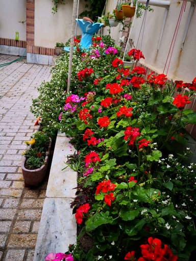 تصویر آگهی شماره 5