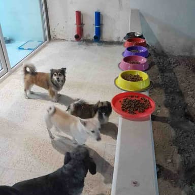 تصویر آگهی شماره 9