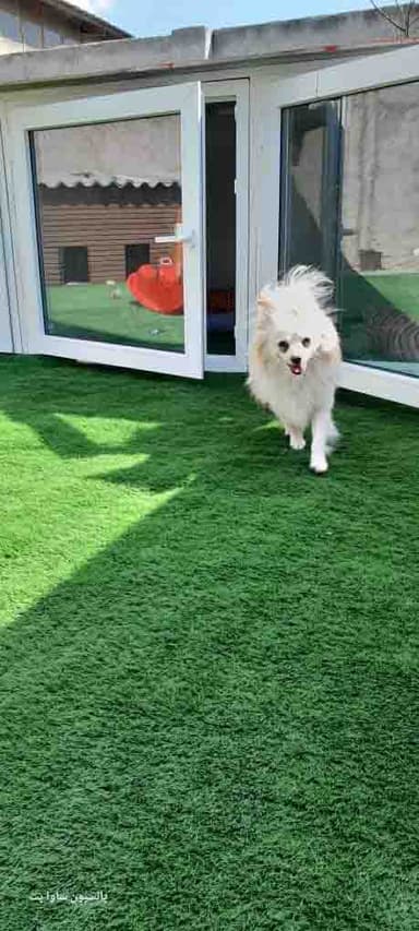 تصویر آگهی شماره 2