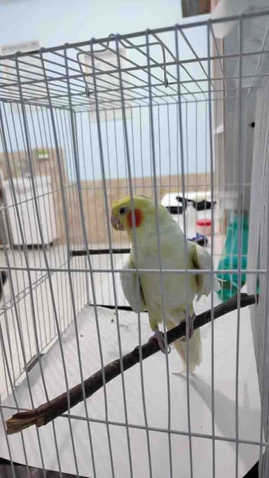 تصویر آگهی شماره 4