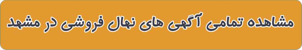 بهترین نهال فروشی و نهالستان در مشهد