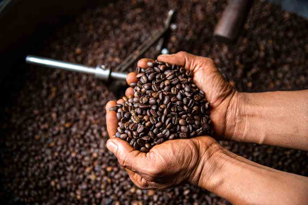بهترین قهوه فروشی و فروشگاه قهوه در تهران