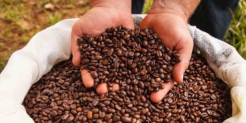 بهترین قهوه فروشی و فروشگاه قهوه در مشهد