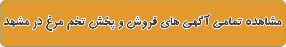 بهترین فروش و پخش تخم مرغ در مشهد