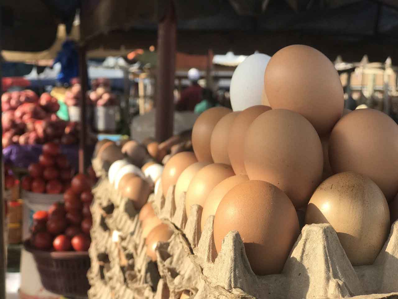بهترین فروش و پخش تخم مرغ در کرج